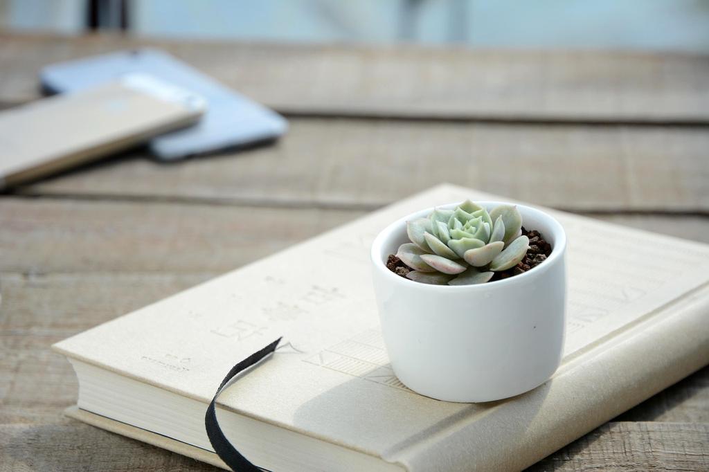 E-books icon